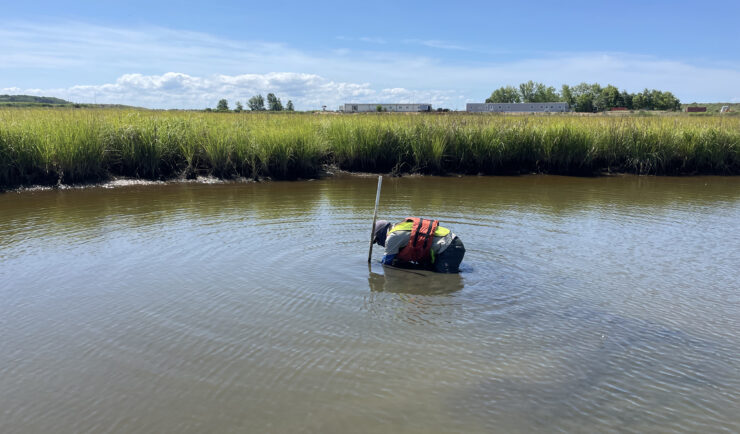 person places an instrument in a body of water